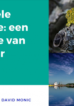 Industriële symbiose: een inspiratie van de natuur - Interview Valentijn Bilsen en David Monic - Week van de Circulaire Economie van Brupartners