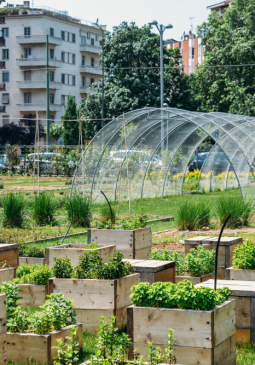 L'agriculture urbaine à Bruxelles : enjeux écologiques, sociaux et environnementaux - Présentation Good Food